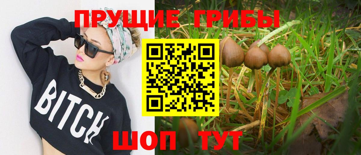 Учалы  Галлюциногенные грибы ЛСД  Галлюциногенные грибы прущие грибы  Вход с VPN 